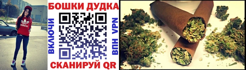 Купить закладку A-PVP  Бошки Шишки  Псилоцибиновые грибы  МЕФ  ГАШ  КОКАИН  Бокситогорск