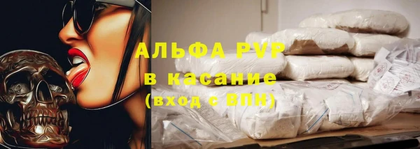 дживик Арсеньев