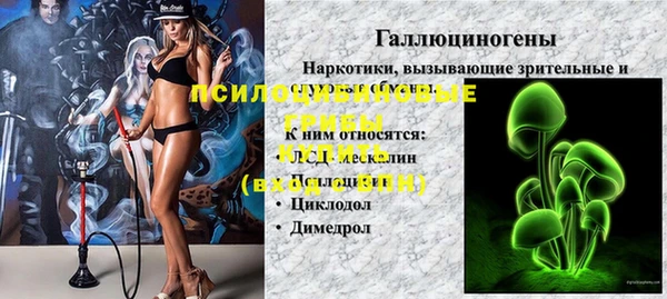 дживик Арсеньев