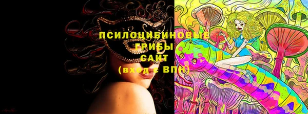 дживик Арсеньев