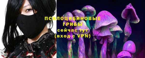 прущий лед Аркадак