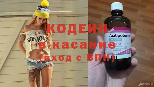 дживик Арсеньев