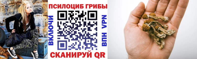 Галлюциногенные грибы Cubensis Бокситогорск